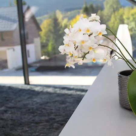 Appartement Edelweiss Boutique Kranjska Gora