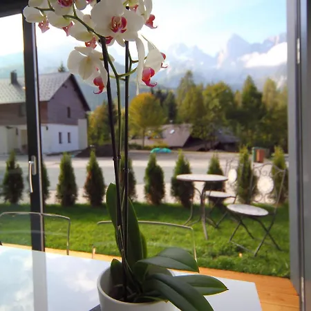 Edelweiss Boutique Appartement